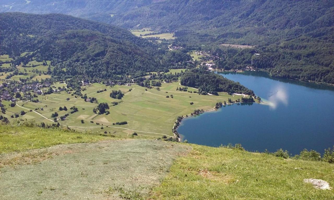 Soba Pri Bregarju Διαμέρισμα Bohinj Εξωτερικό φωτογραφία